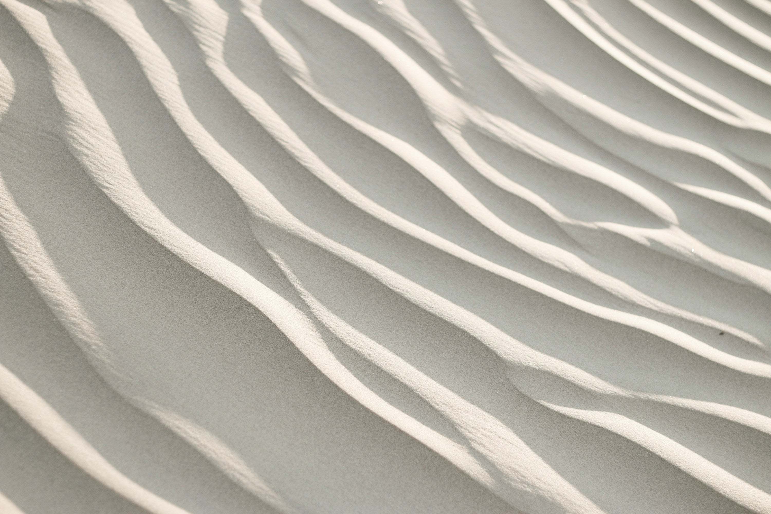 What Is Kanna? Exploring the Ancient Botanical for Mood, Focus & Connection